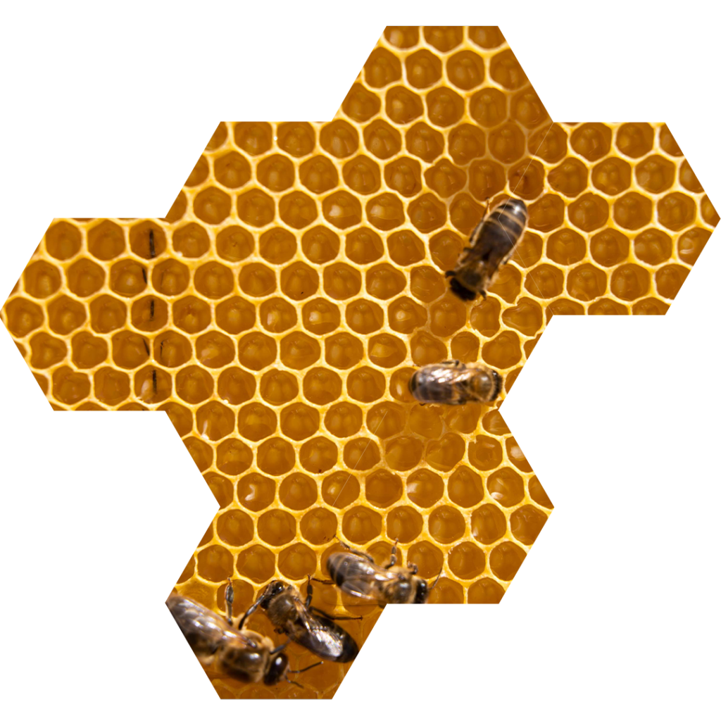 panal con abejas
