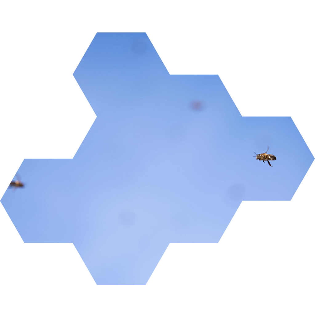 abeja volando por el cielo